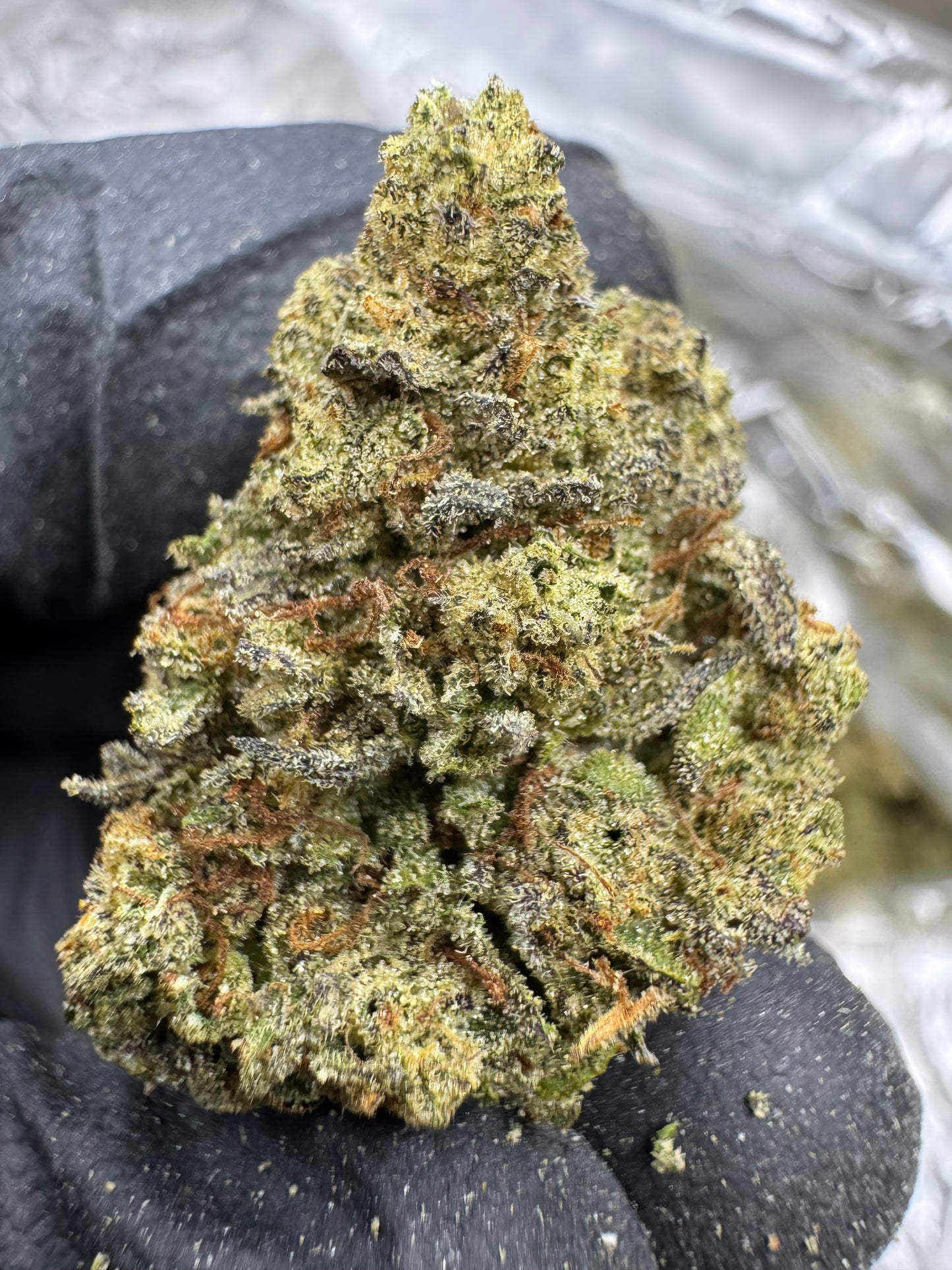 Gary Payton- Top Shelf Outdoor
