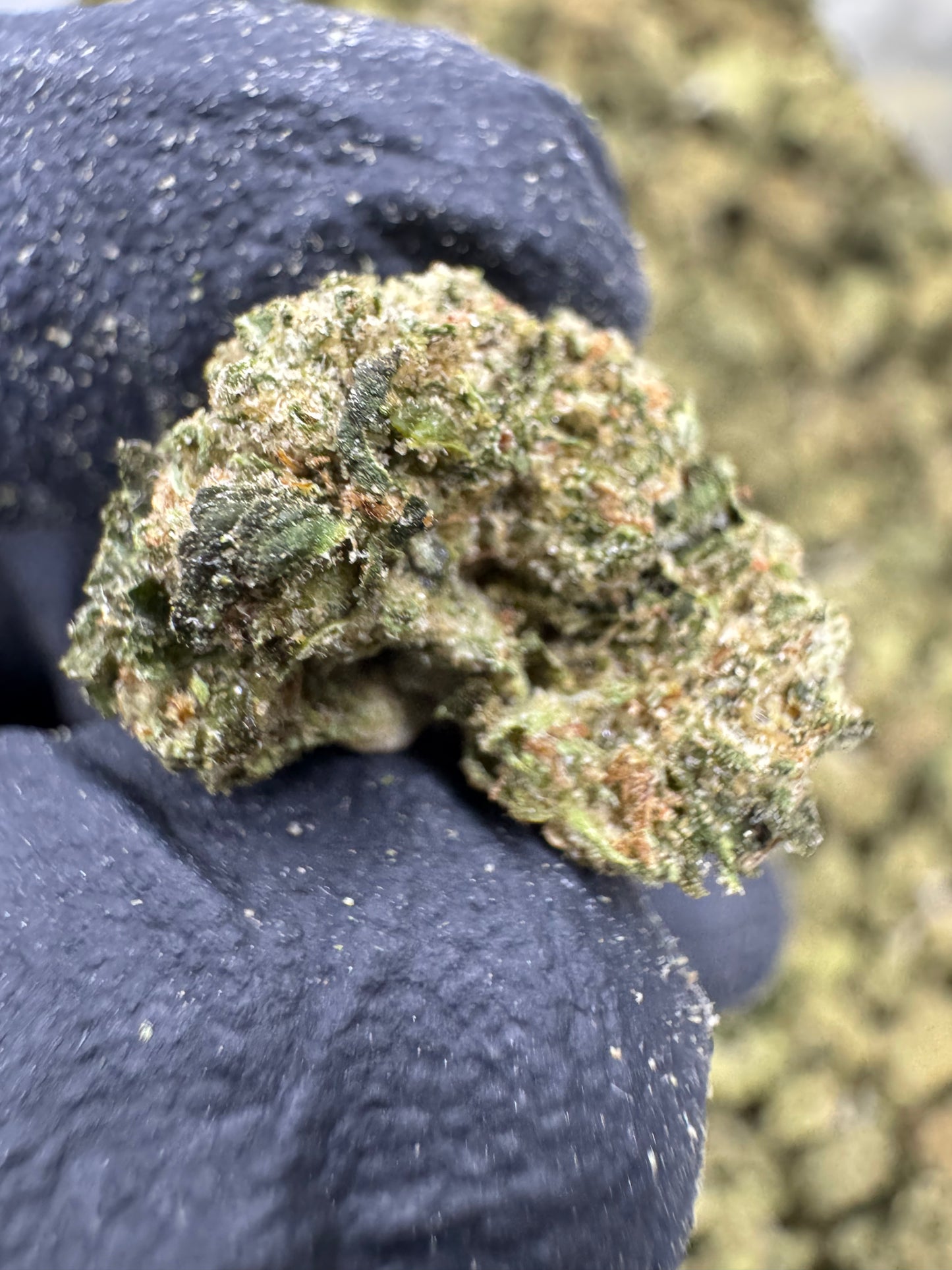 Lemon Cherry Gelato