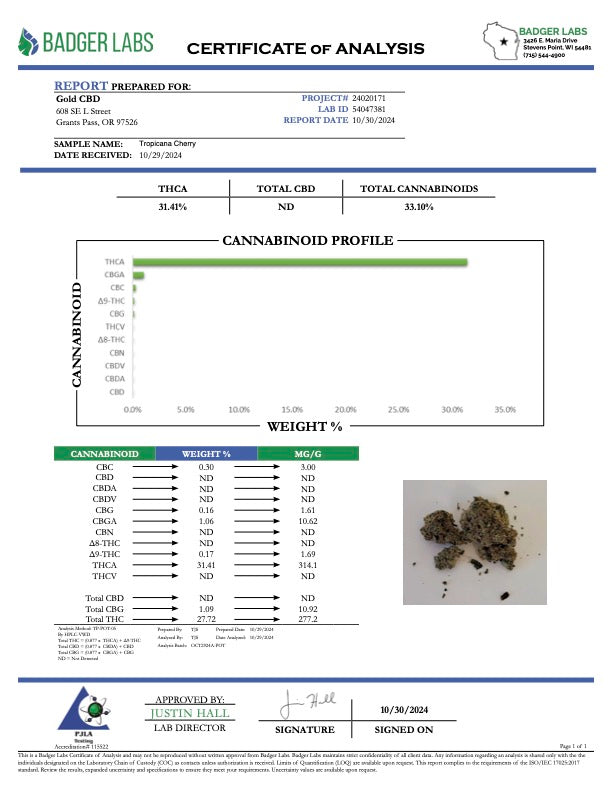 Tropicana Cherry- Top Shelf Outdoor Mediums