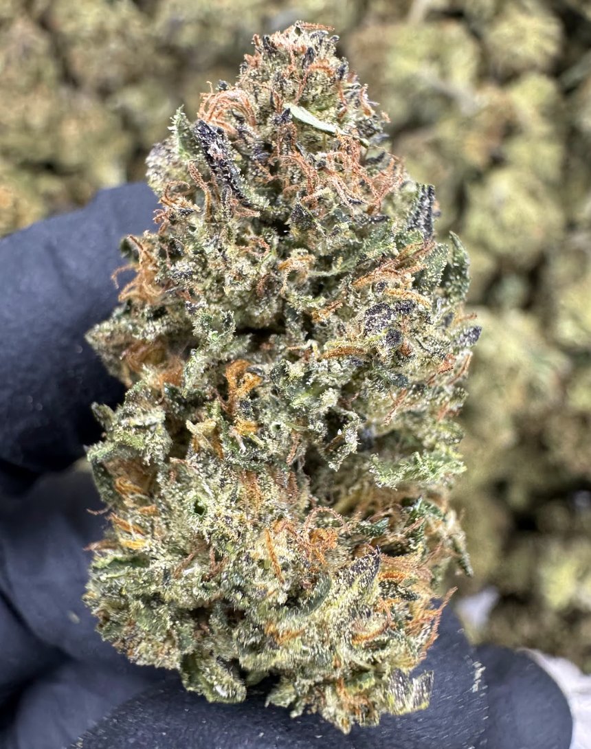 THCa OUTDOOR