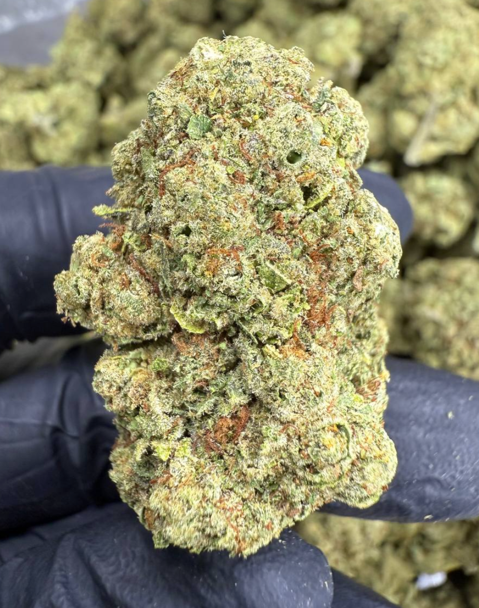 Ounce Collection