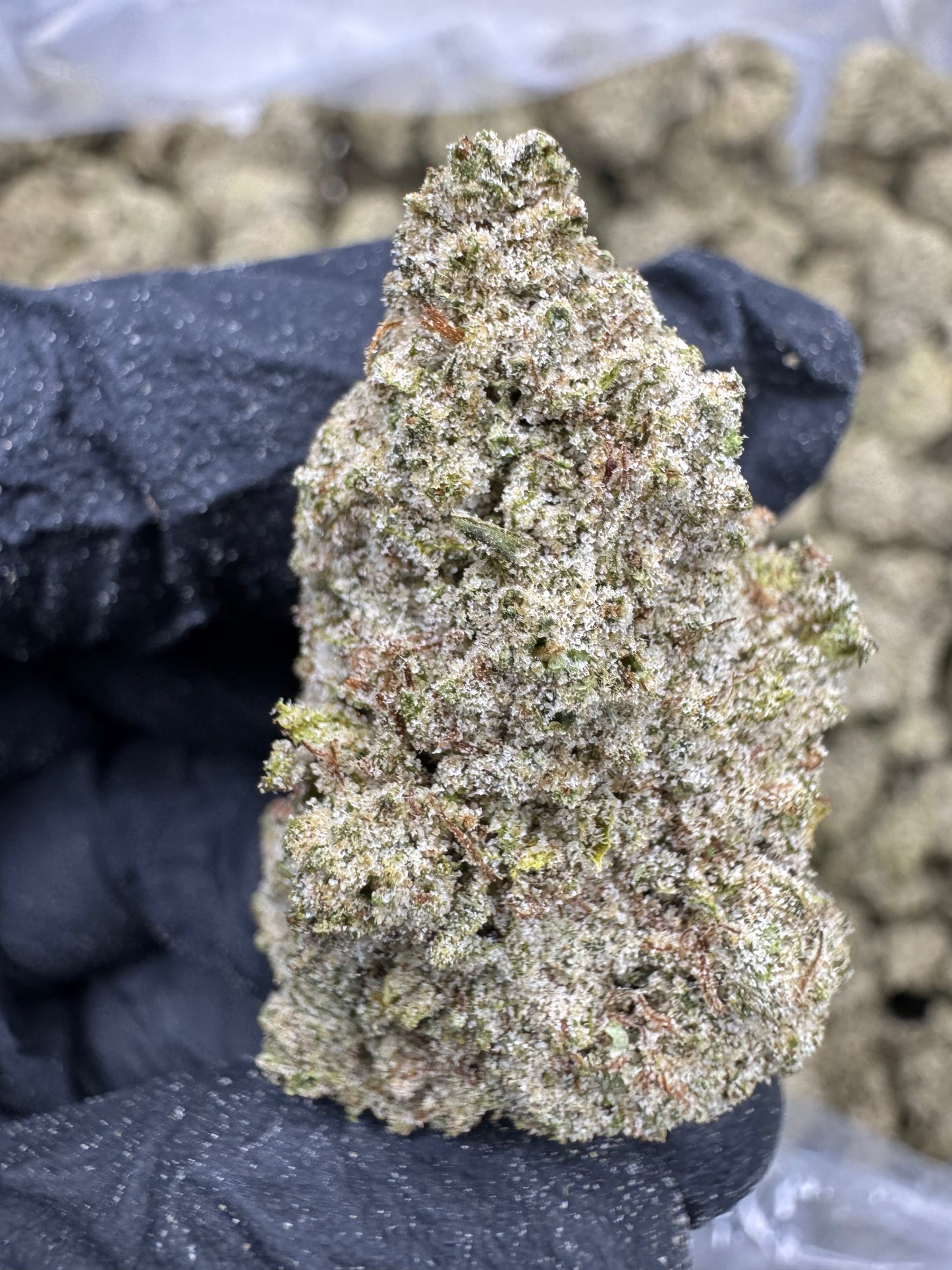 Blue Dream