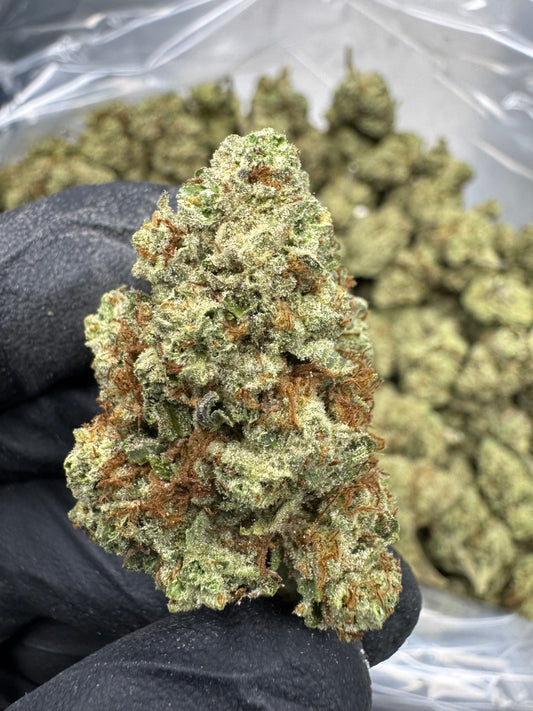 Blueberry Muffin