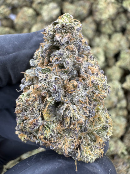 Candy Land