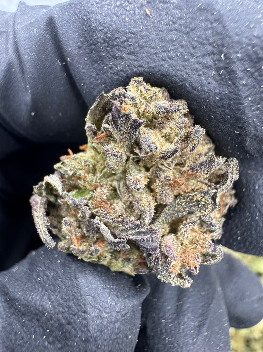 Cookies & Cream - SMALLS