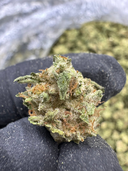 LA Kush Cake - SMALLS