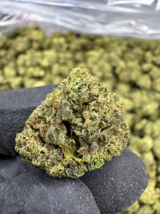 Lemon Cherry Gelato - SMALLS
