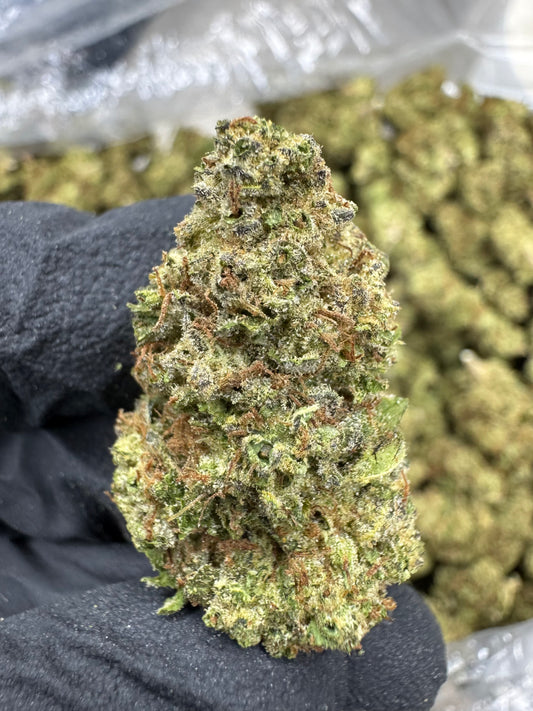 Mule Fuel