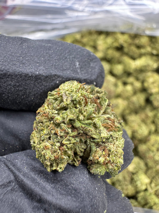 Rainbow Sherbet - SMALLS