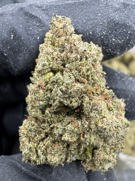 Sour Jack