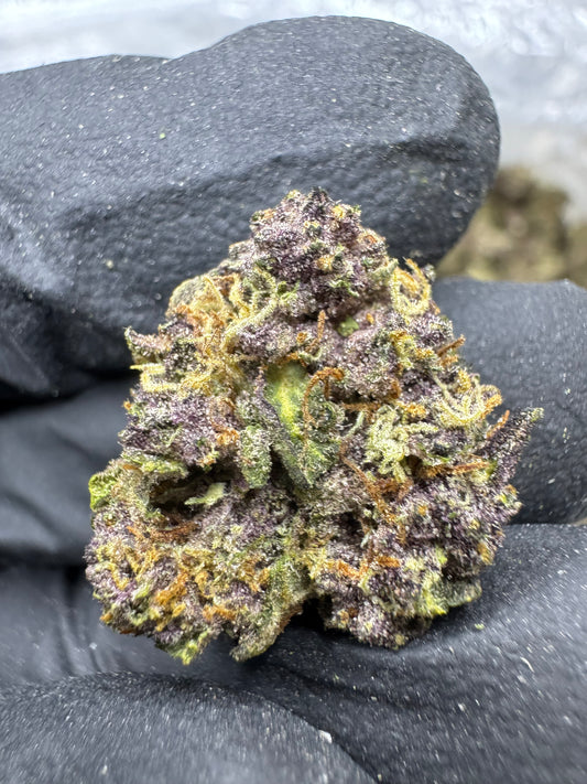 Tropicana Cherry -  Mediums