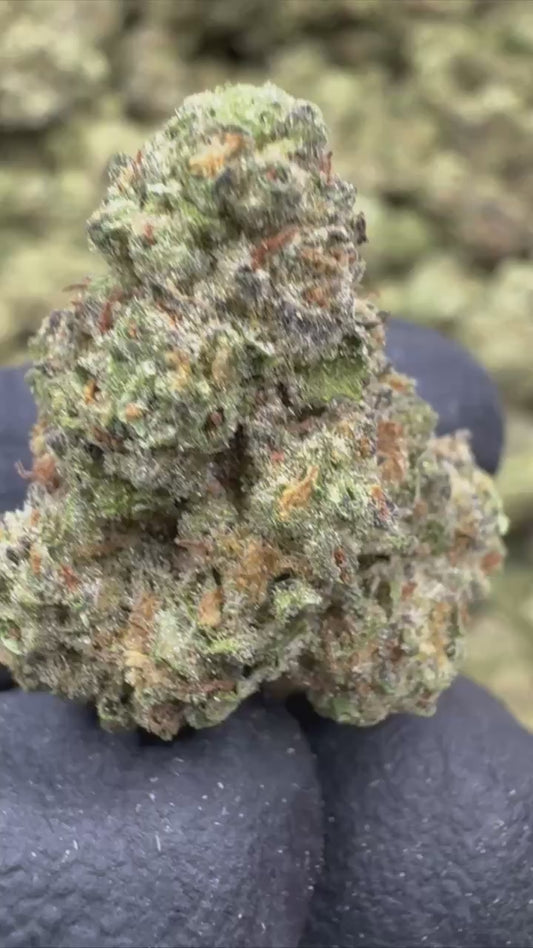 Strawberry Champagne