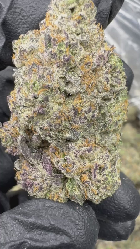 Ice Cream Cake - SMALLS