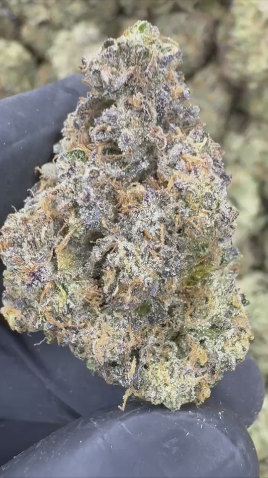 Candy Land