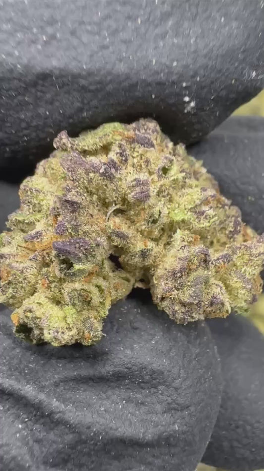 Runtz- Top Shelf Outdoor SMALLS