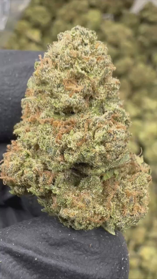 Candy Gas