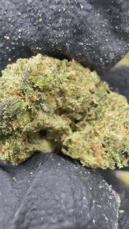 Lemon Cherry Gelato
