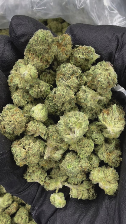Blueberry Muffin - SMALLS