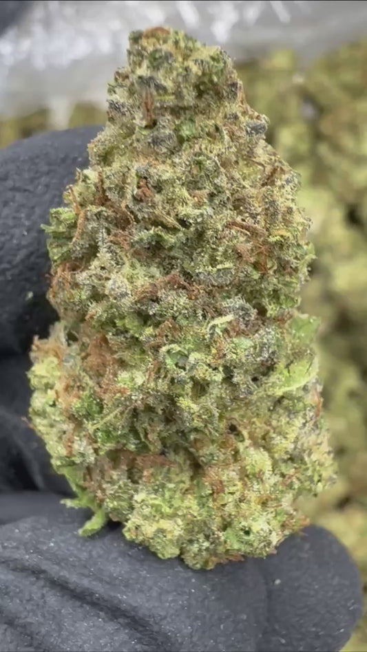 Mule Fuel