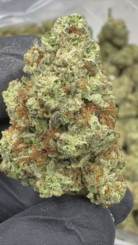 Blueberry Muffin