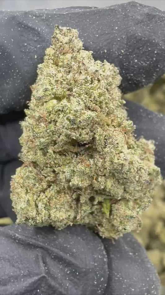 Sour Jack