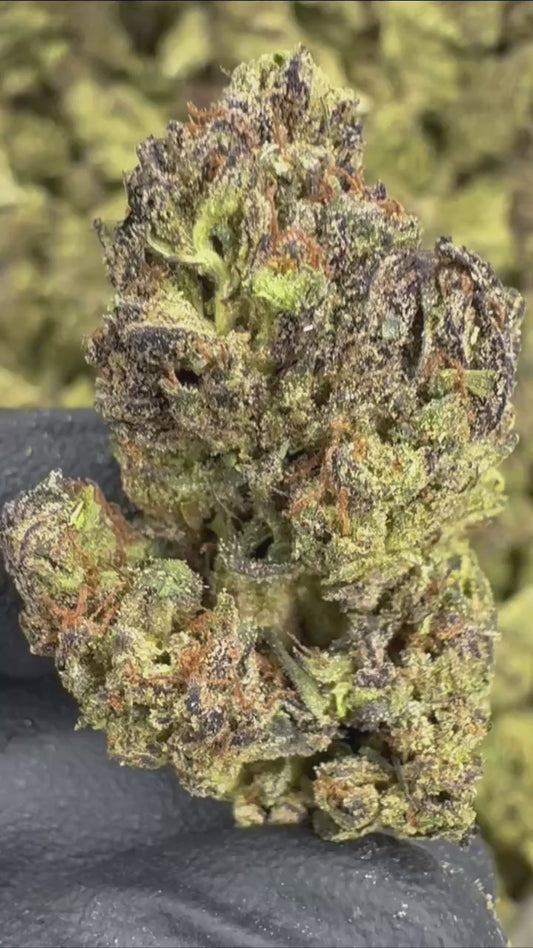 Purple Candy