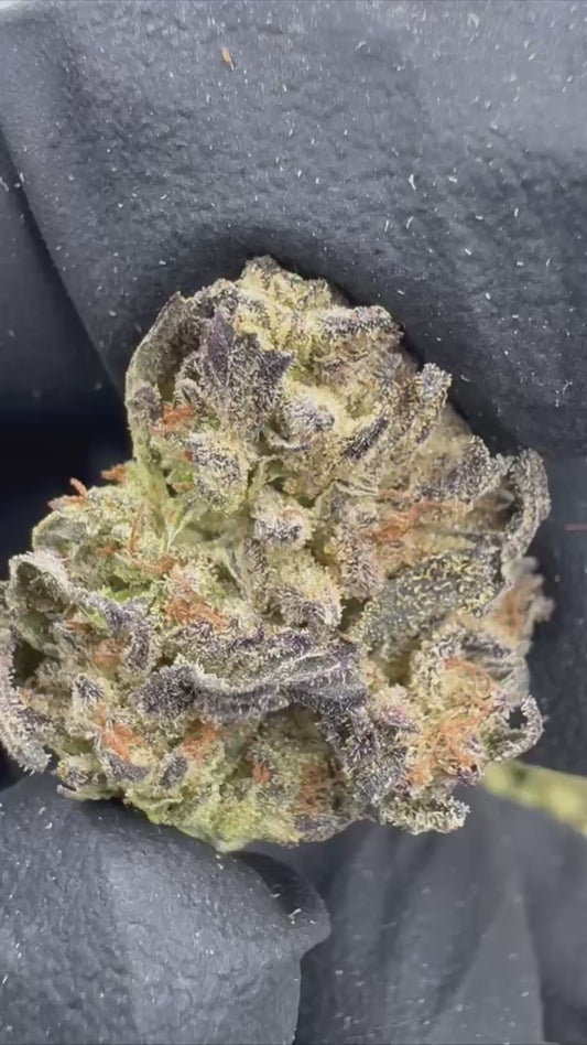 Cookies & Cream - SMALLS