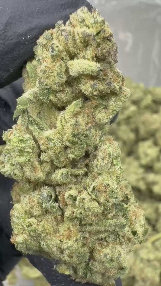 Jungle Pie
