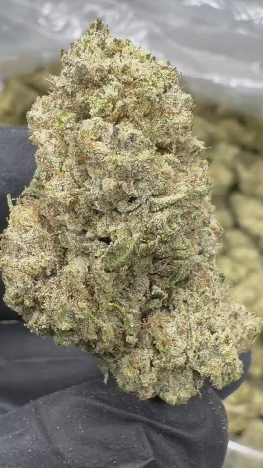 Green Crack