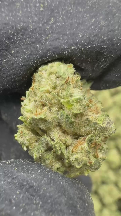 LA Kush Cake - SMALLS
