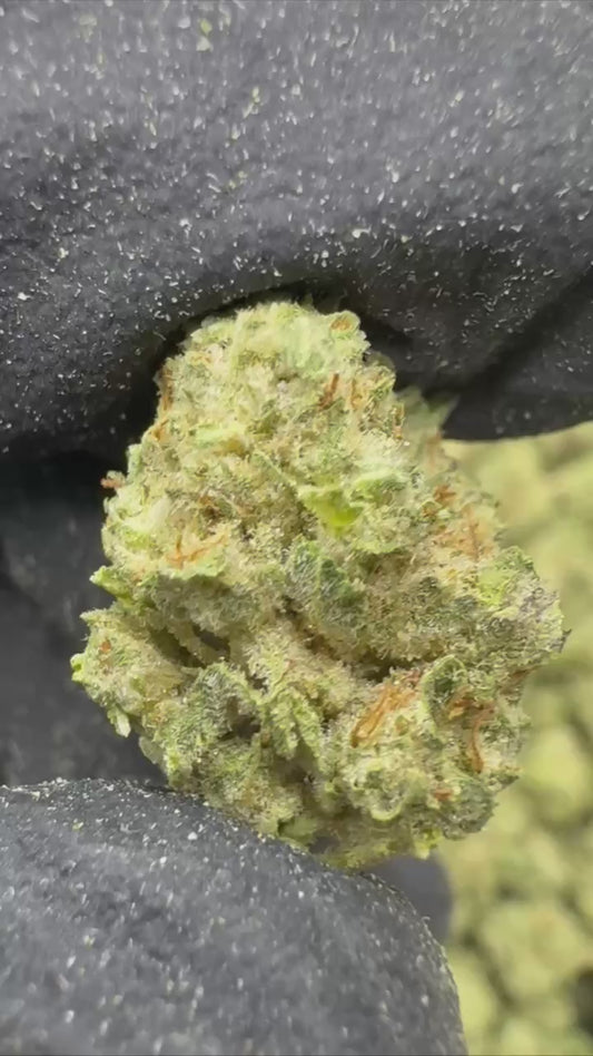 LA Kush Cake - SMALLS