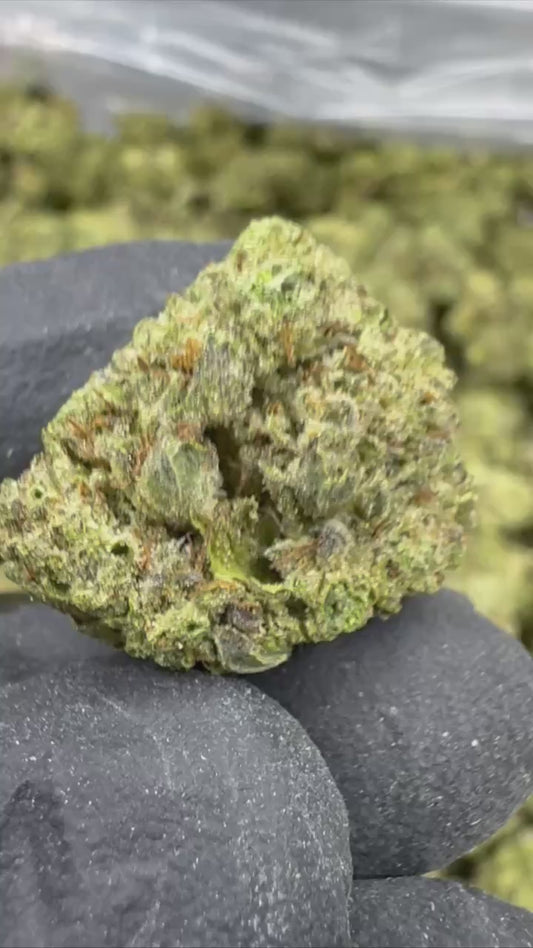 Lemon Cherry Gelato - SMALLS